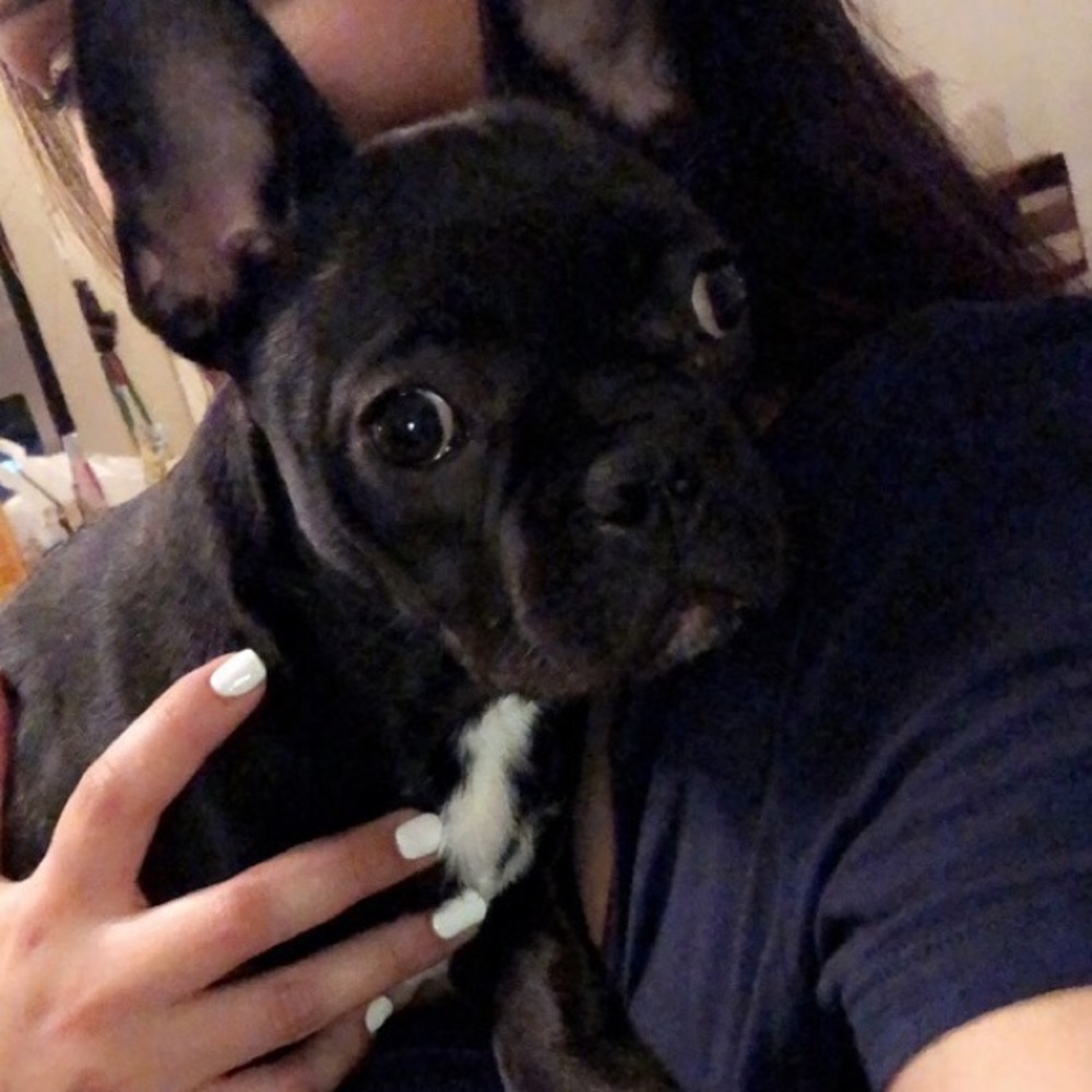 Meet your Posher, Myra